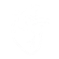 Fonction cardiovasculaire
