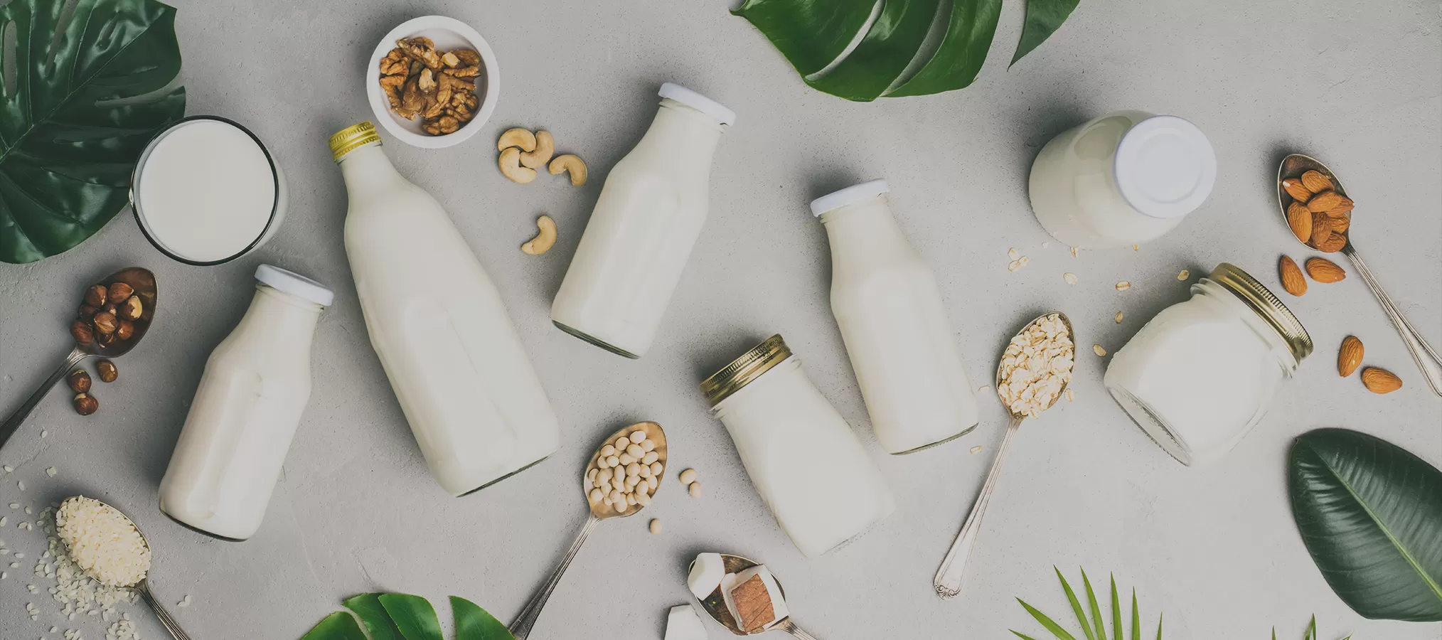 Ingrédients nutritionnels Richen pour le lait et les produits laitiers