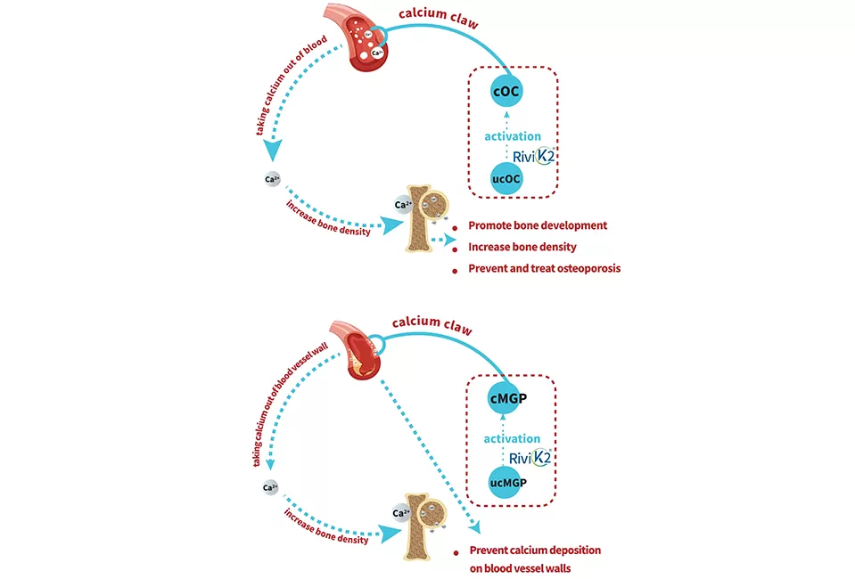 Comment cela fonctionne-t-il?